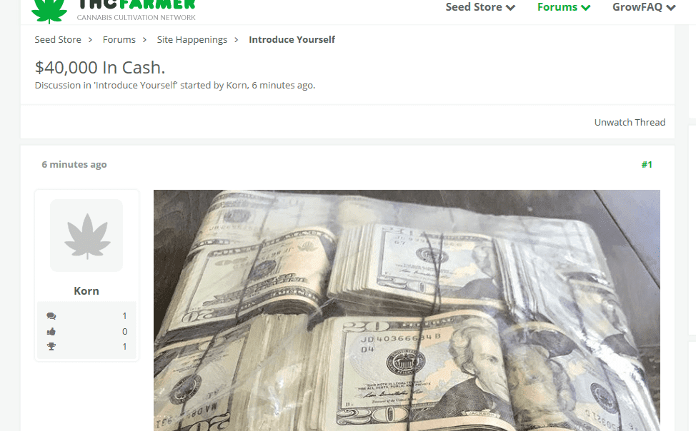 Cash