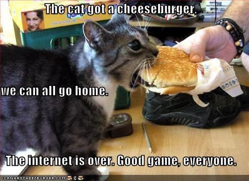 Cat got cheezburger