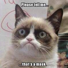 Cat please tell s mask