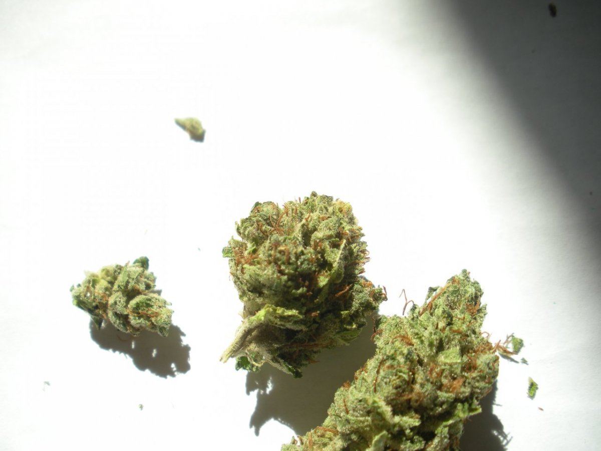 Cataract Kush 2