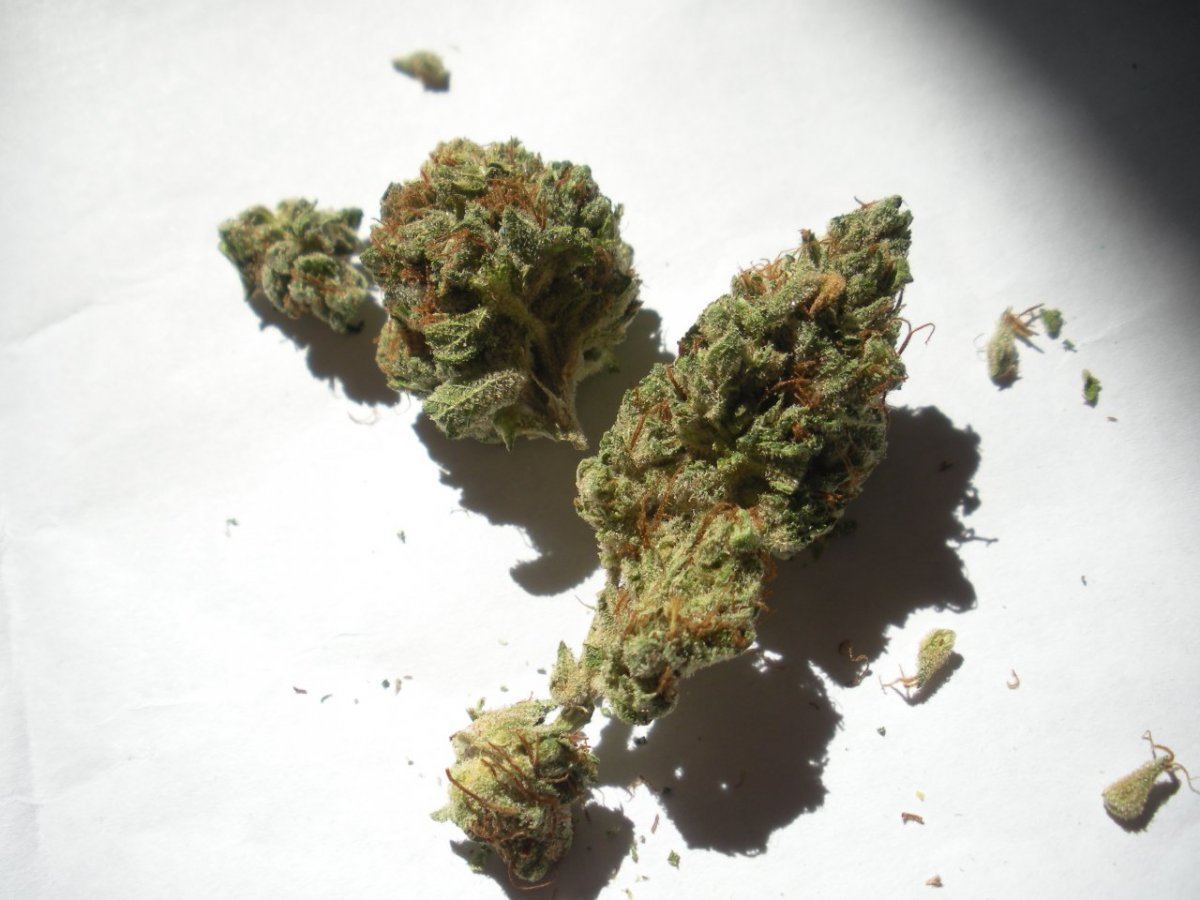 Cataract Kush 3
