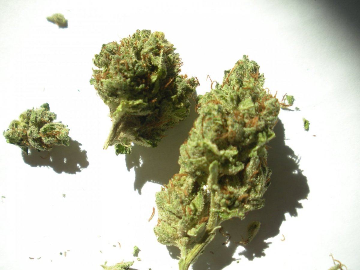 Cataract Kush