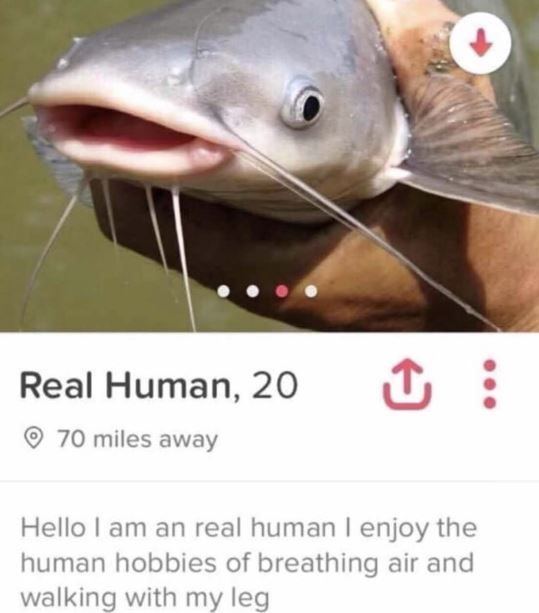 Catfish