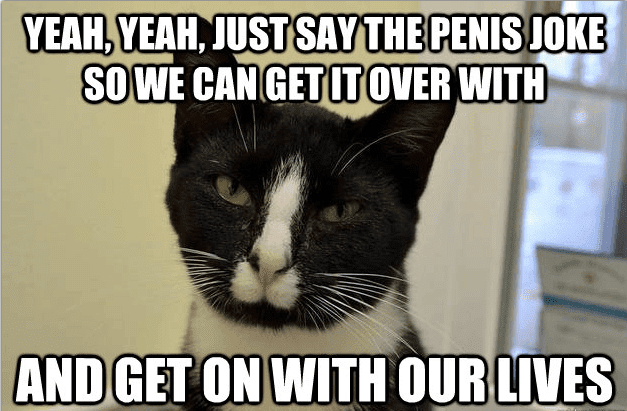 Catpenisface2