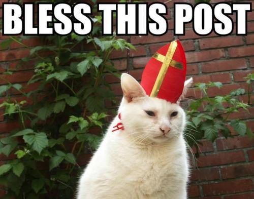 Catpopememe