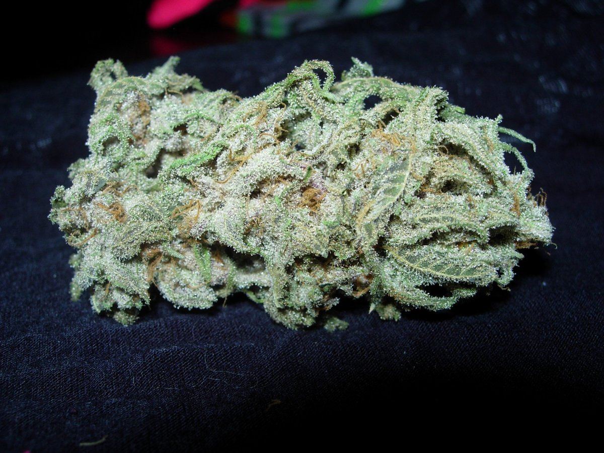 CB pheno 1