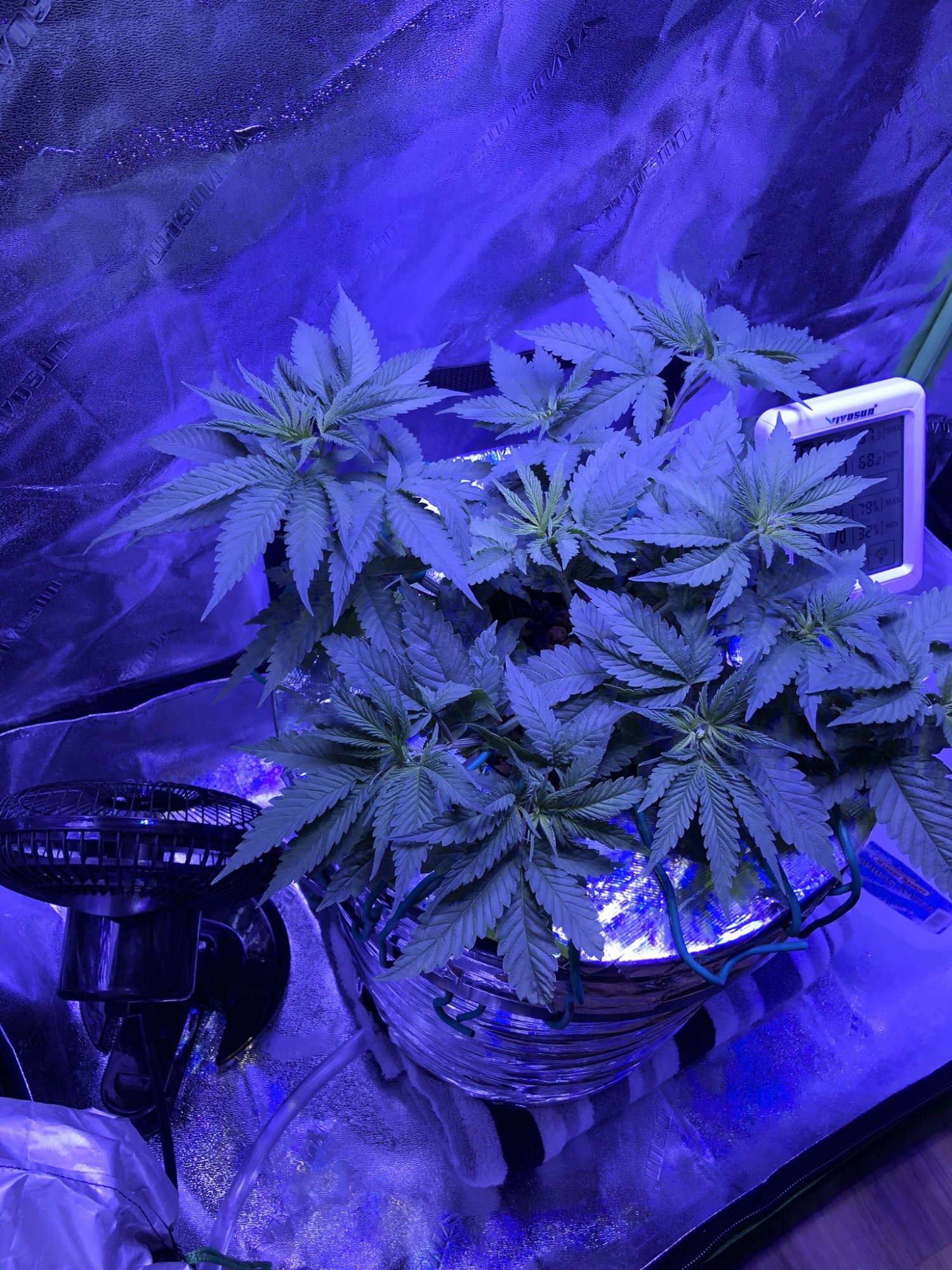 CBD6C7AF 85F1 455F 97E2 8439F1702E80