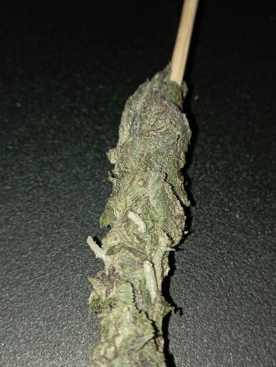 Cbtiedstick