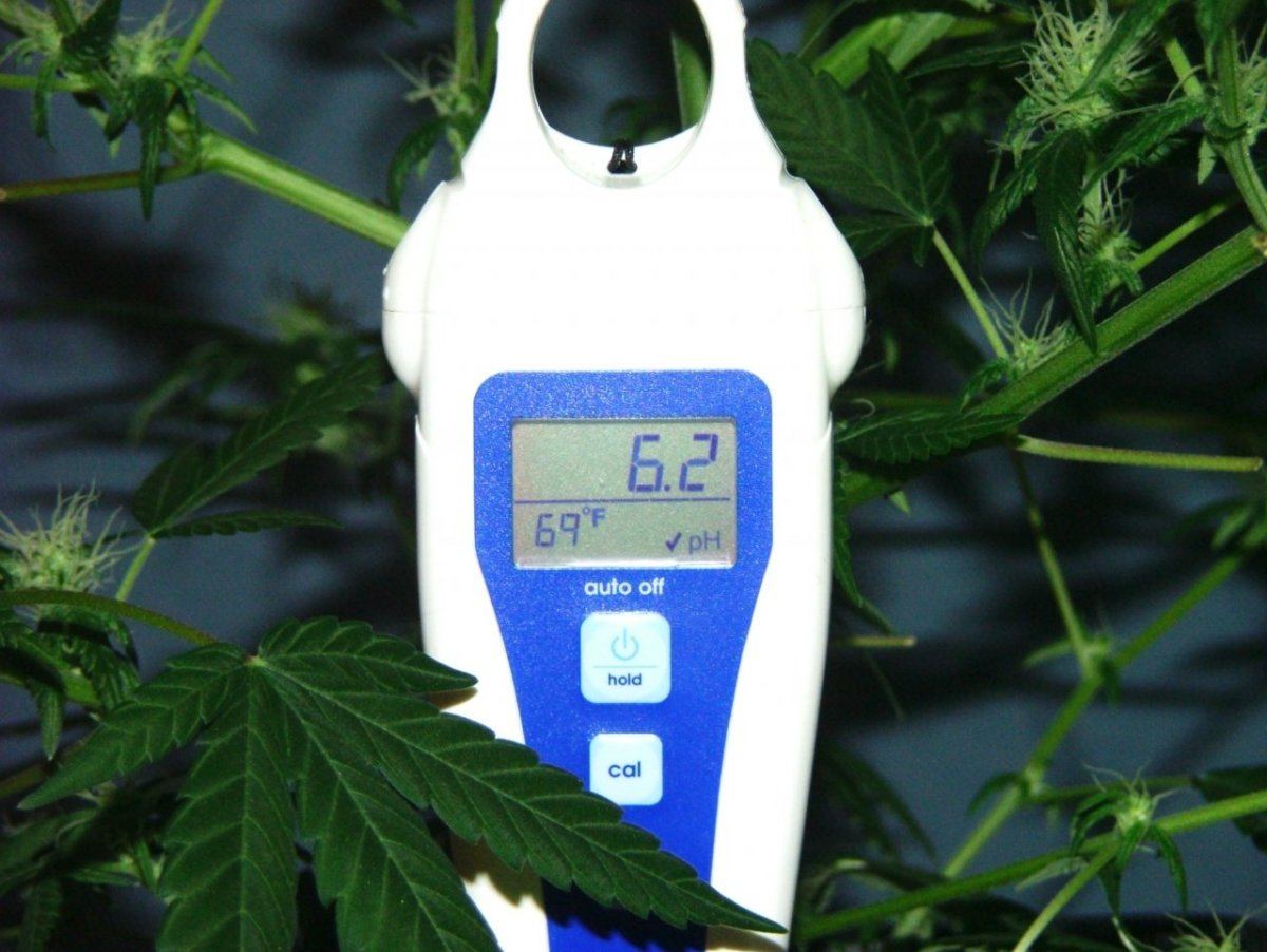Cc 2