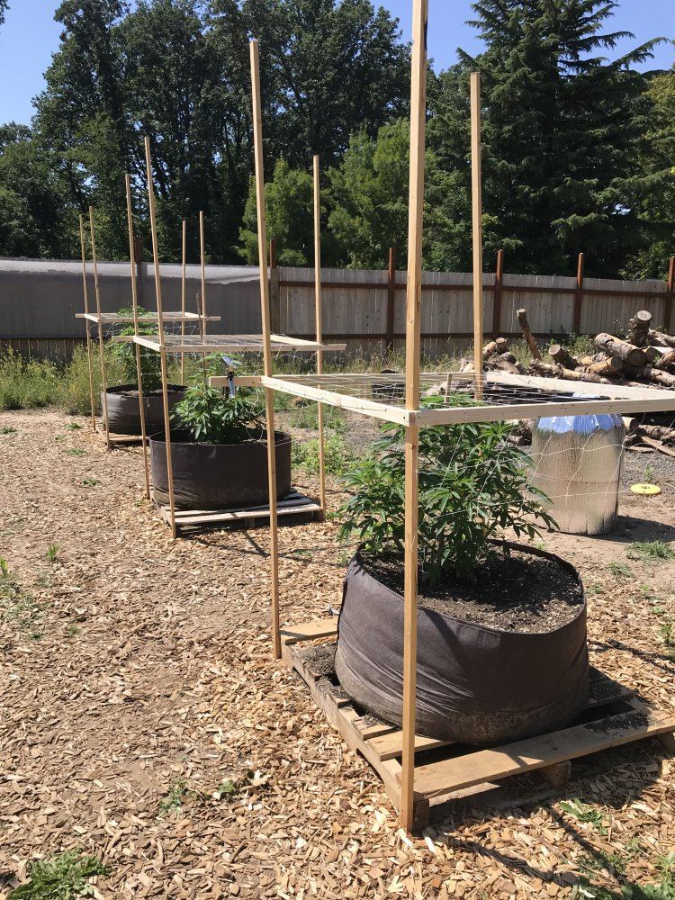 CD2CD809 C0BC 4BBD BE3C 1DF43D976E95