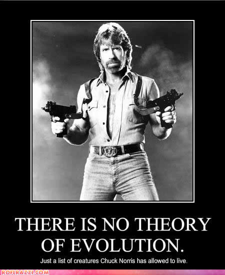 Celebrity pictures chuck norris there is