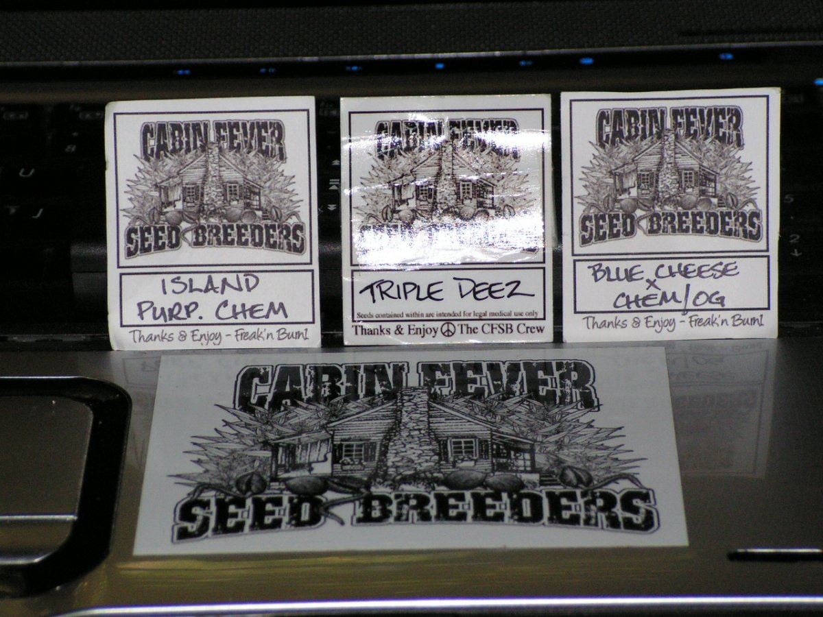 CFSB GEAR