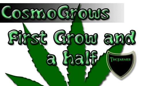 Cggrows