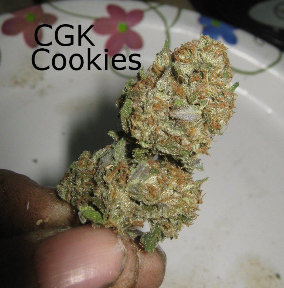 CGKCookies
