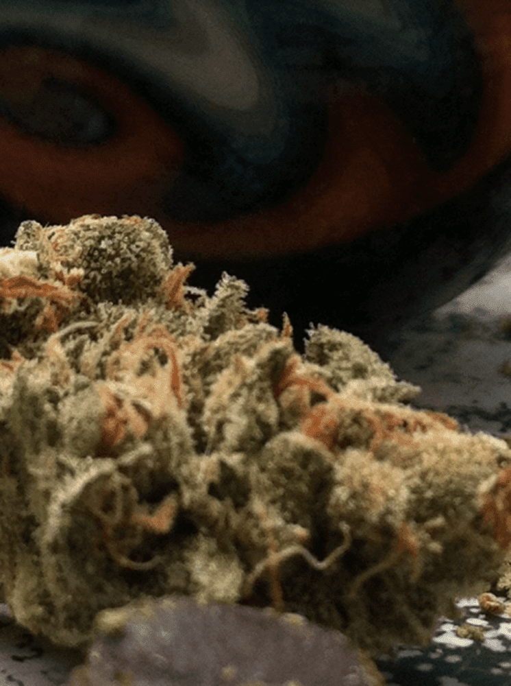 Ch kush