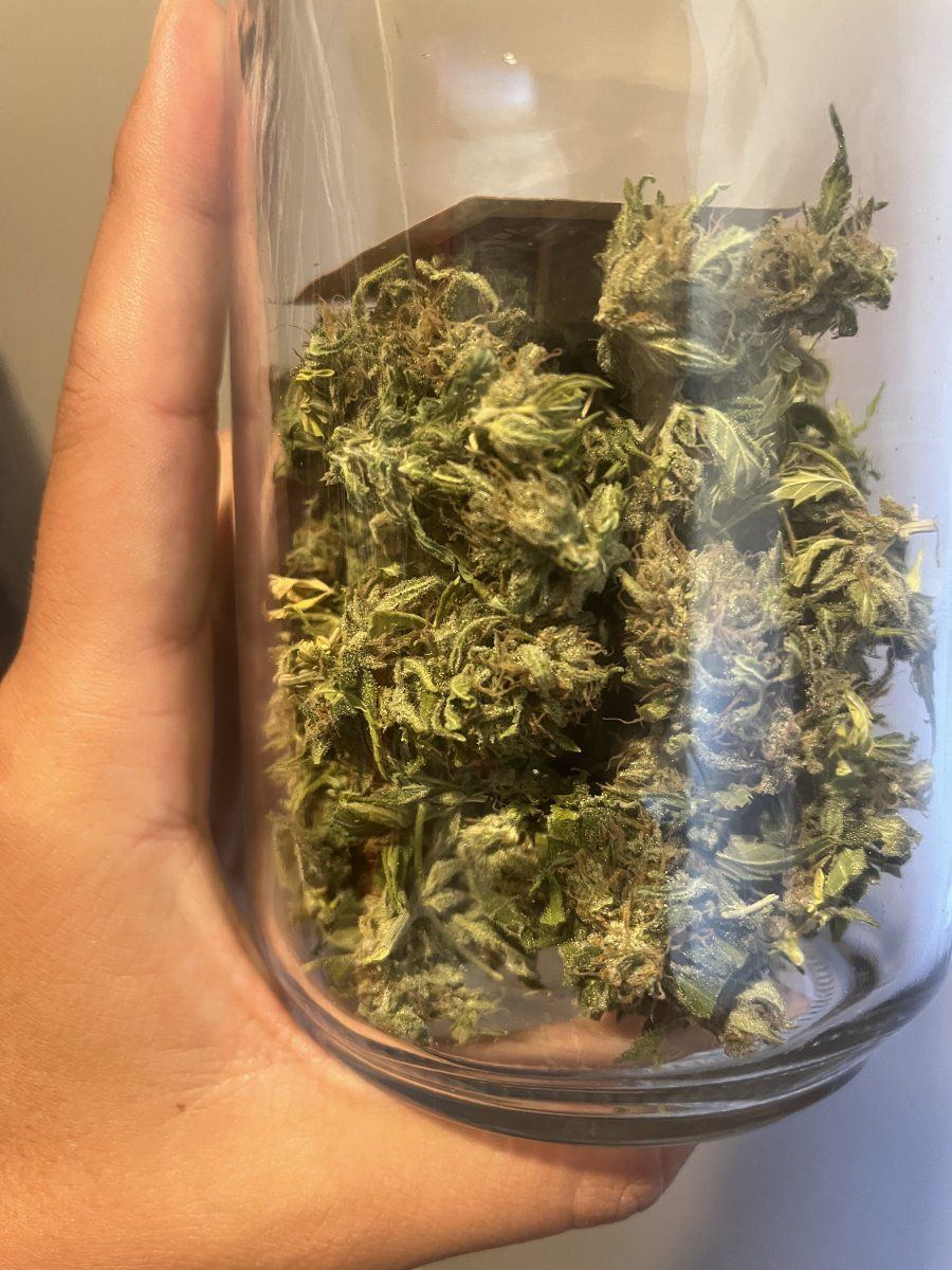 Changes for next outdoor grow