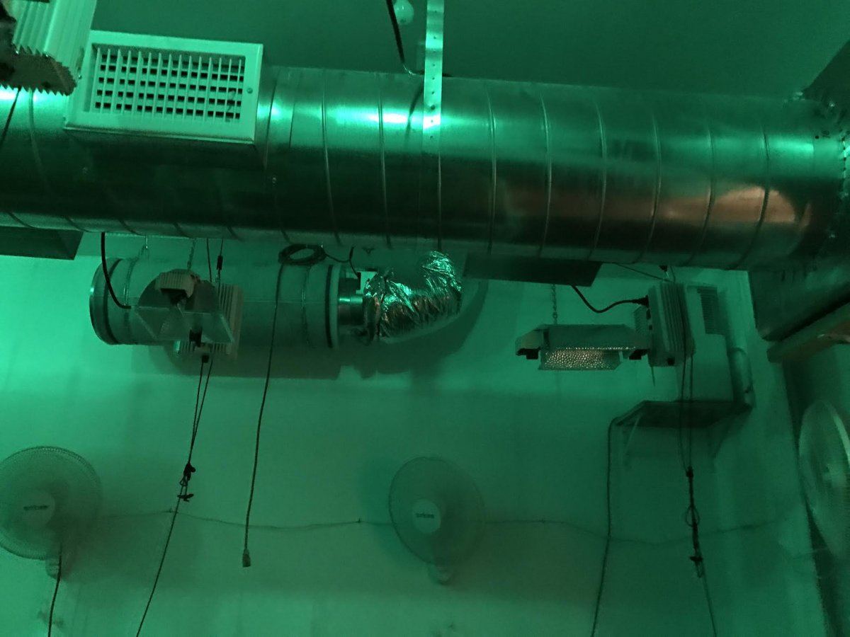 Charcoal filter extractor