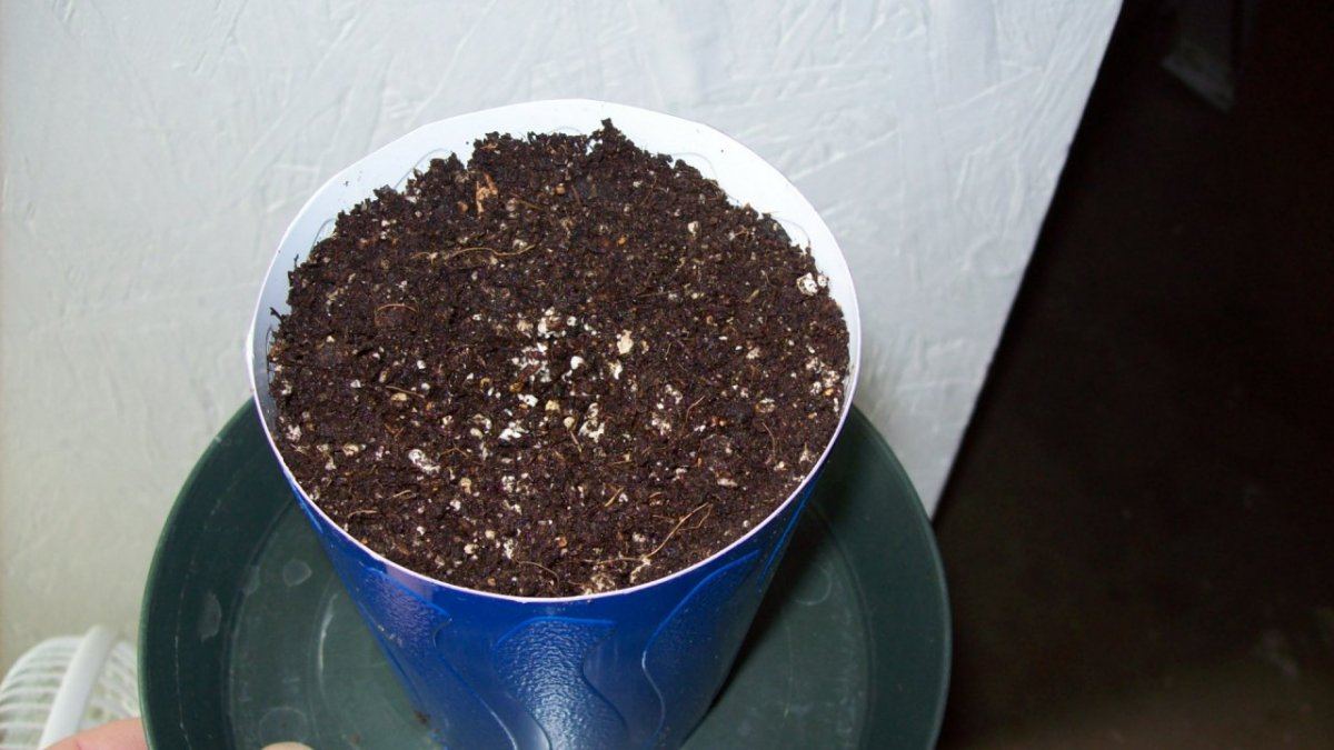 Cheap easy cloning technique for small batches 3