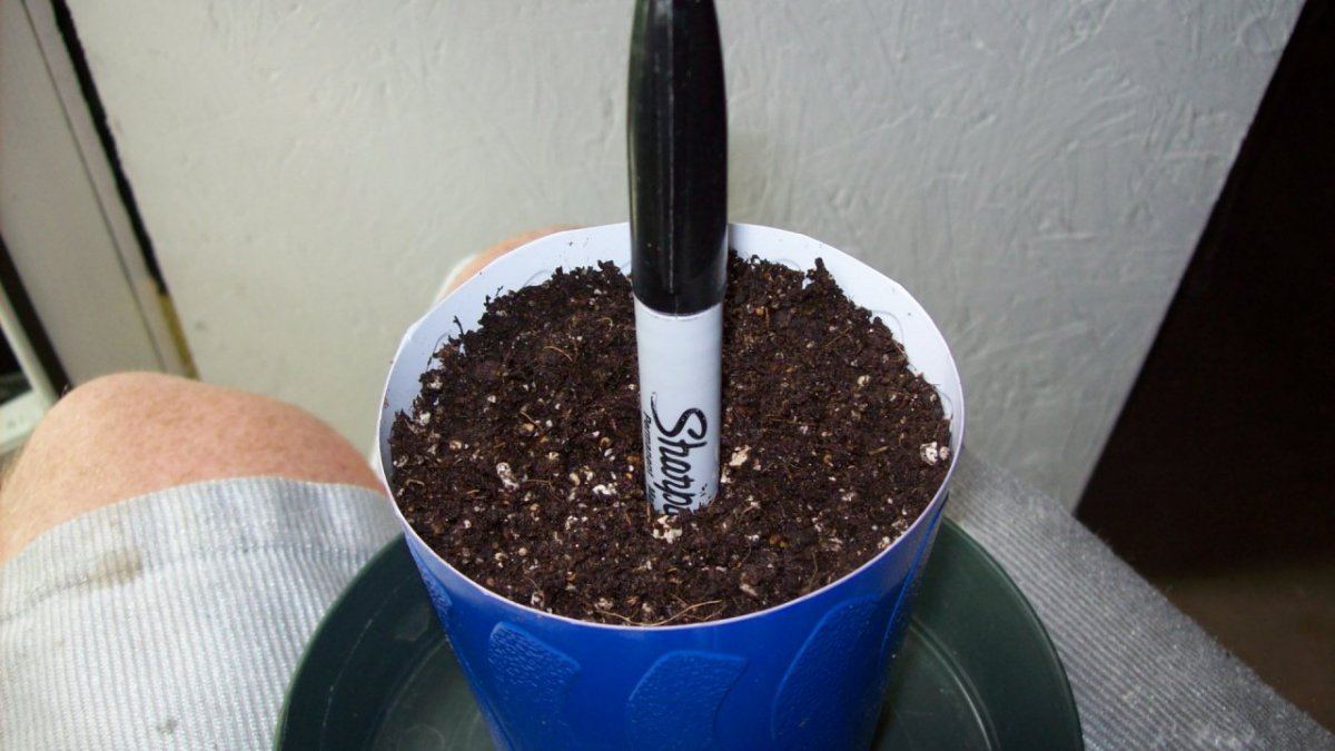 Cheap easy cloning technique for small batches 4