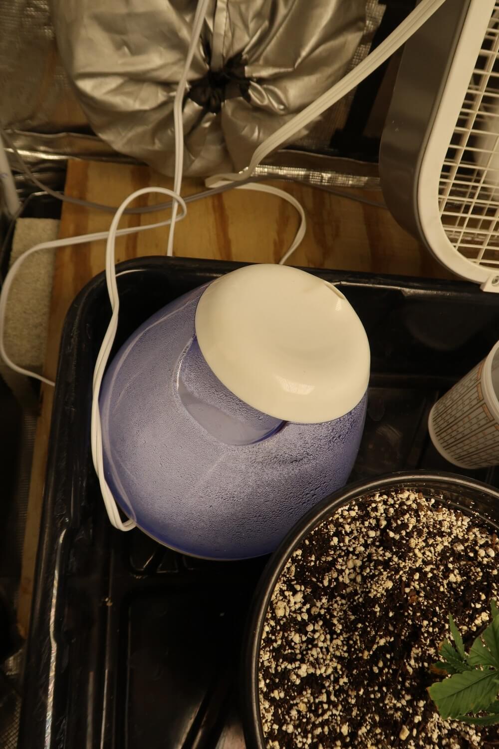 Check out my humidifier