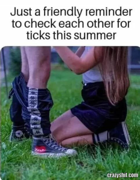 CheckForTicks
