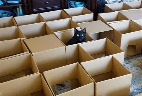 Cheese box