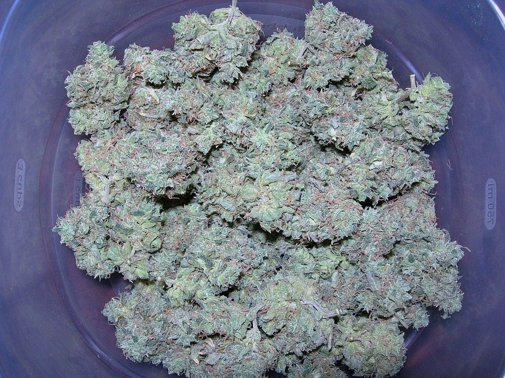 Cheese1