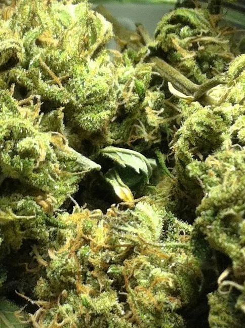 Cheese1