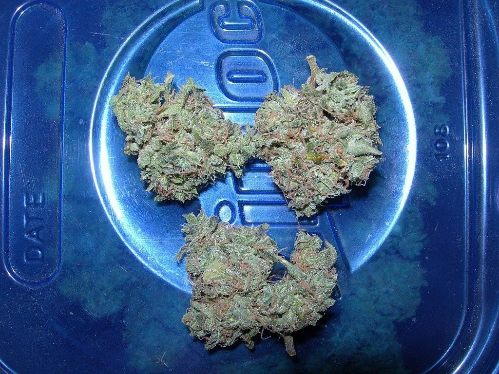 Cheese2