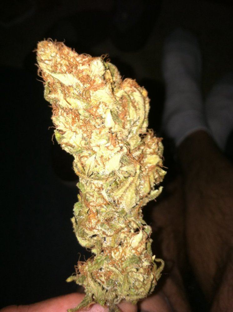Cheesenug