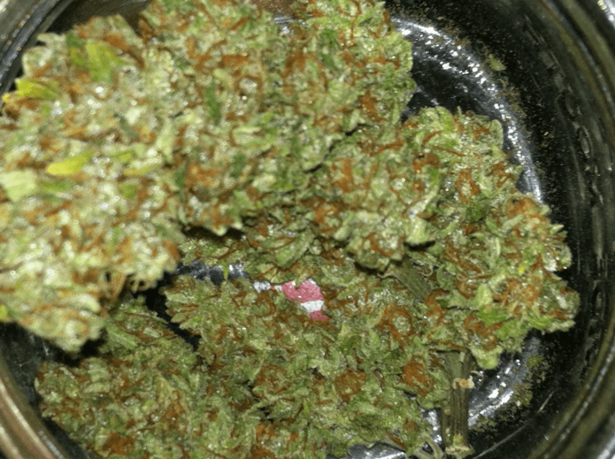 Cheeto