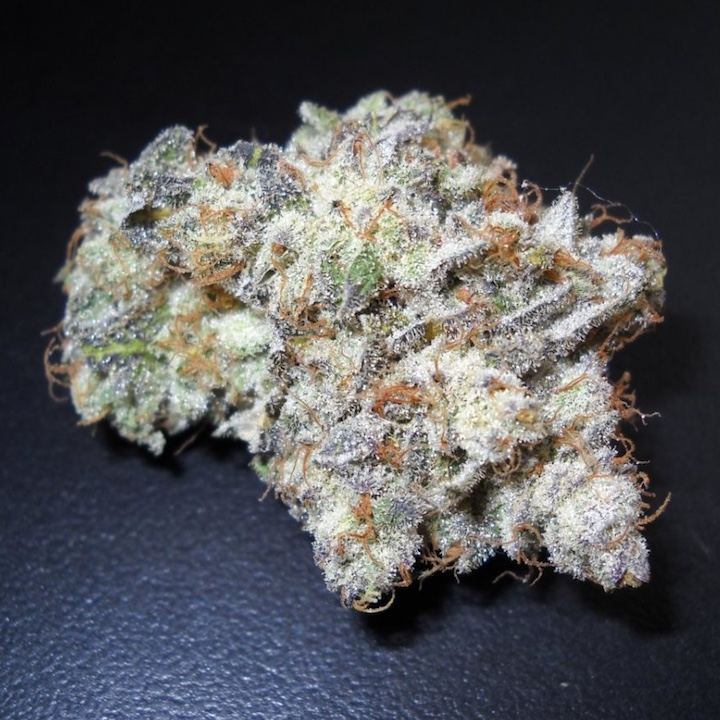 Chem 4 x gsc 456