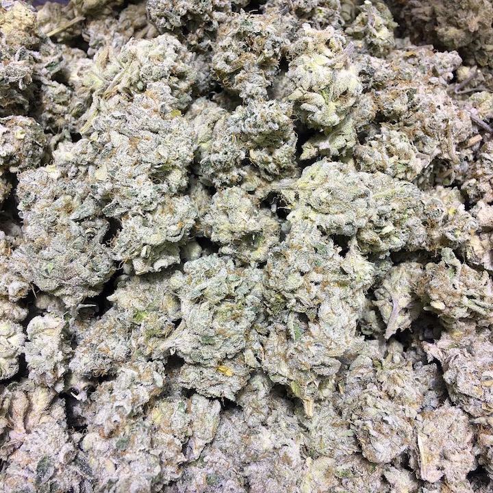 Chem 4 x gsc
