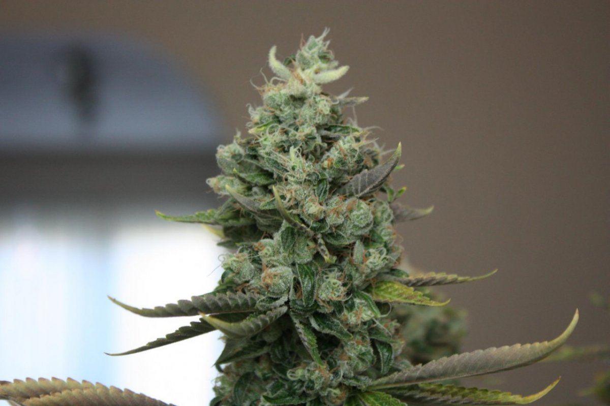 Chem 91 6