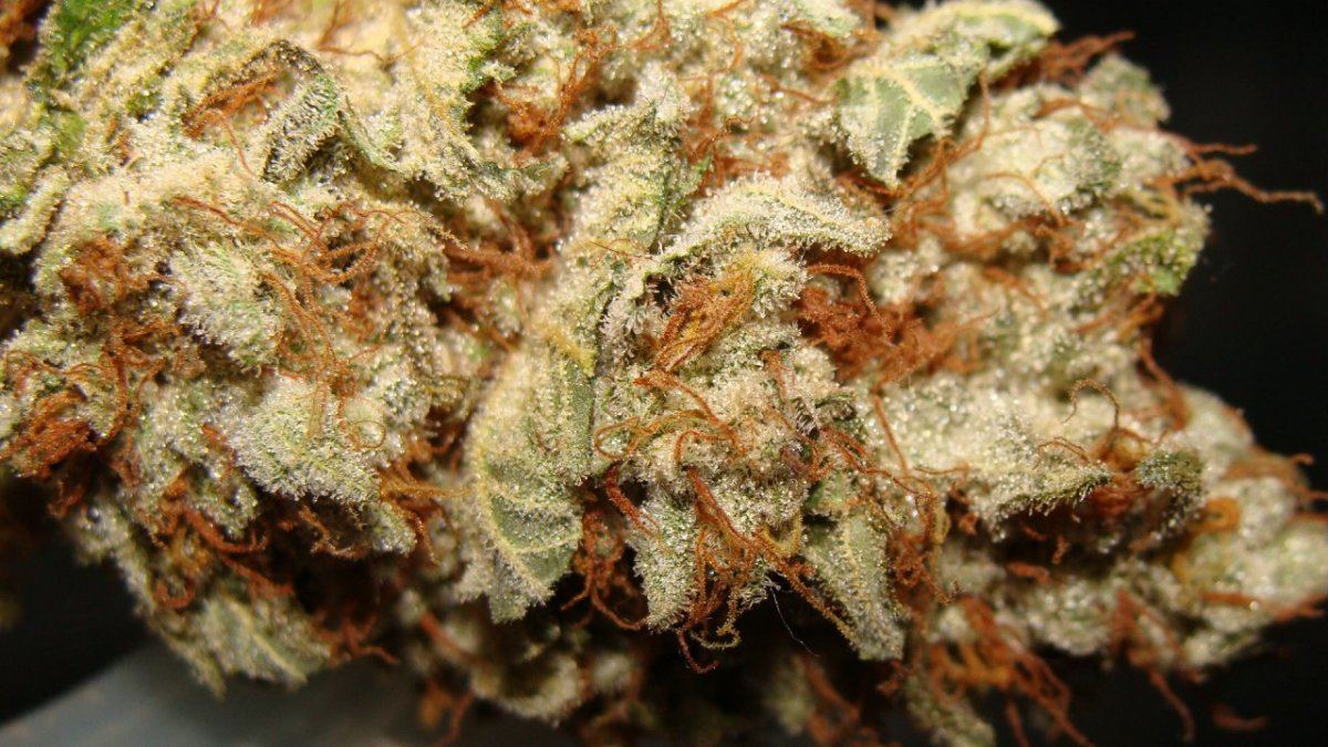 Chem17 upclose