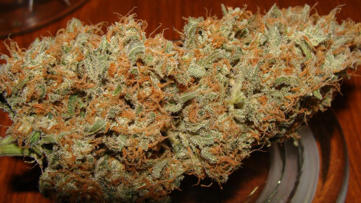 Chem4 x f13 3