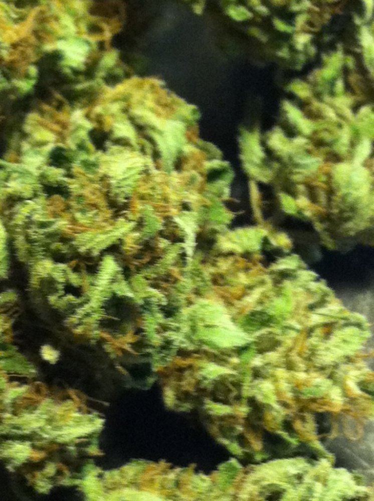Chem5
