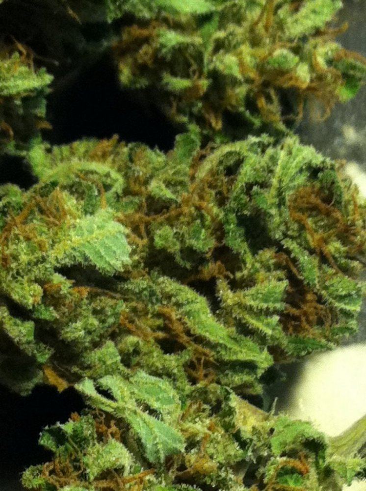 Chem6
