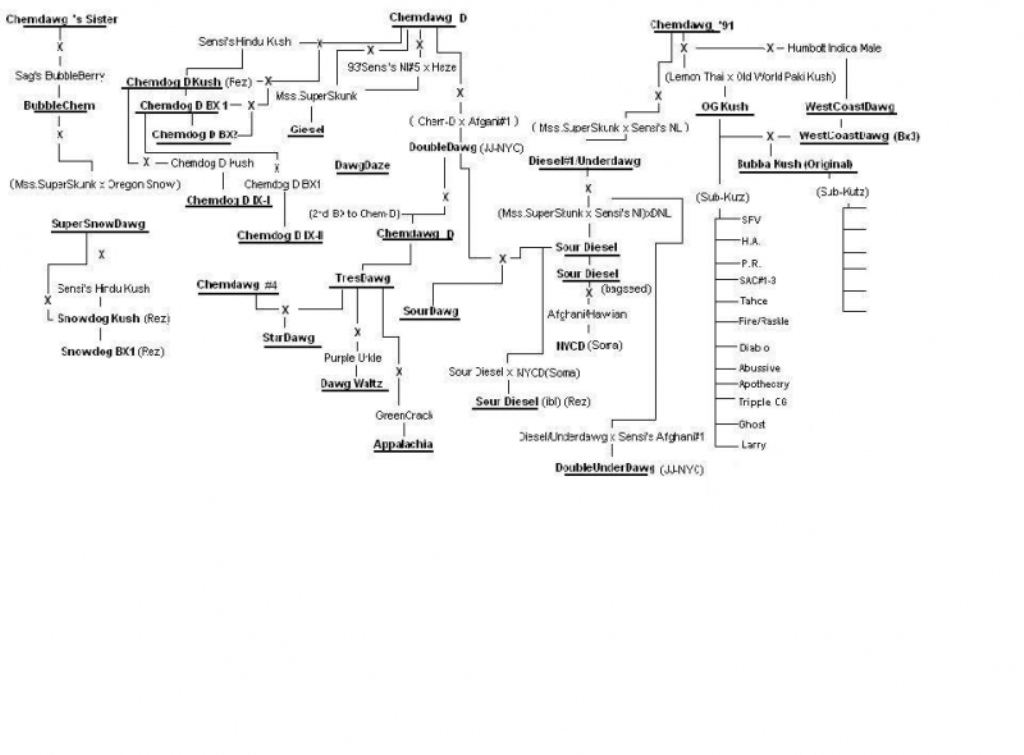 Chemdawg family tree
