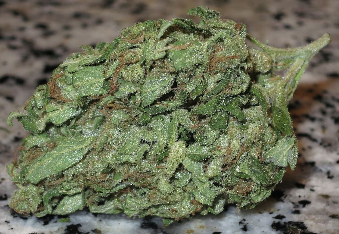 CHEMDNugwow sf