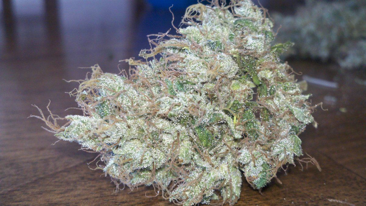 Chemo2cure
