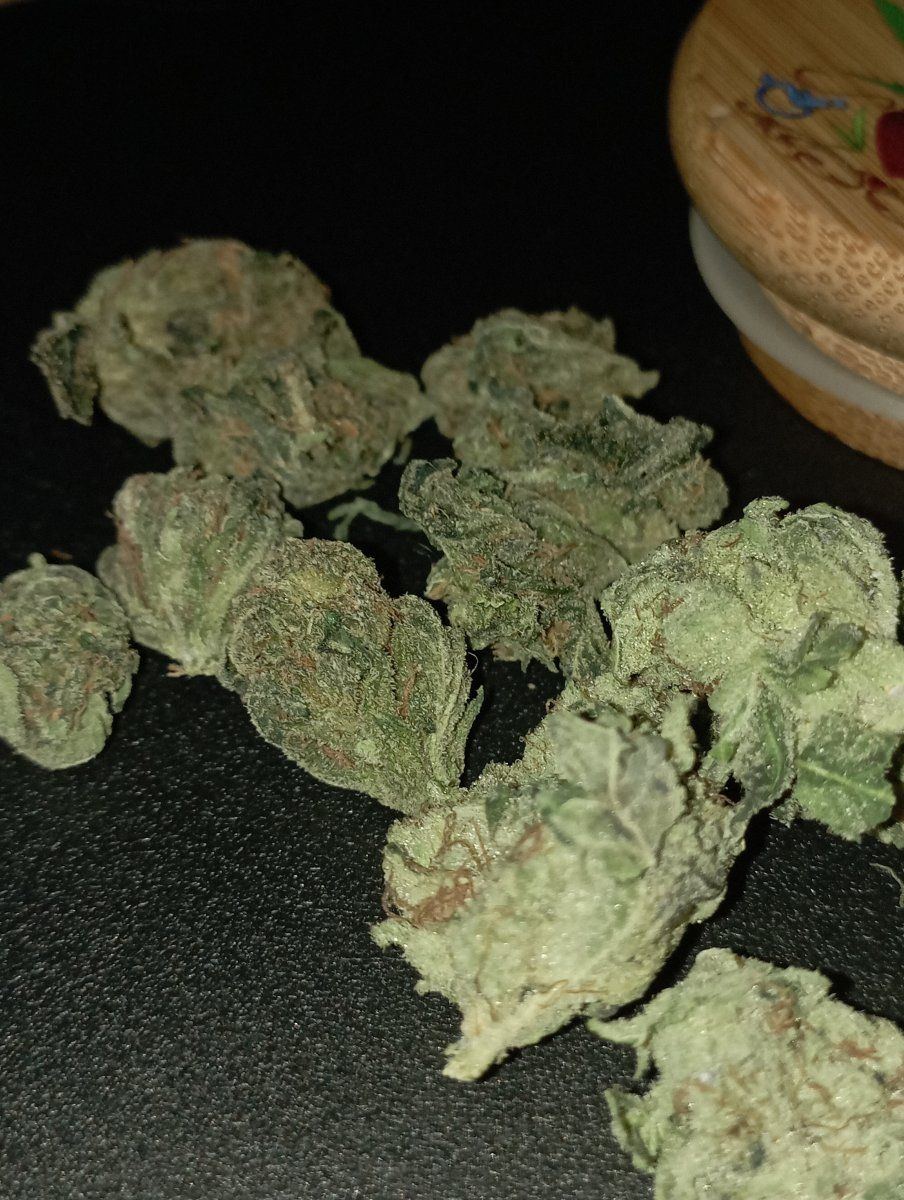 Chemxogxstardawg