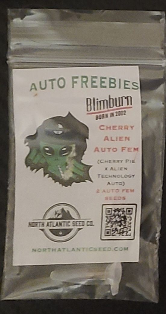 Cherry alien autos   blimburn seeds   nasc freebie