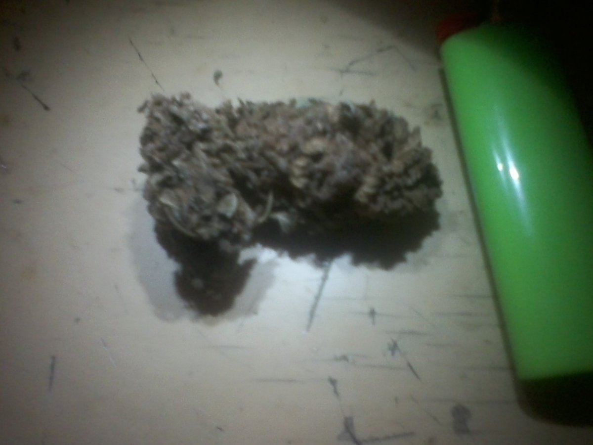 Cherrypiepurple92518