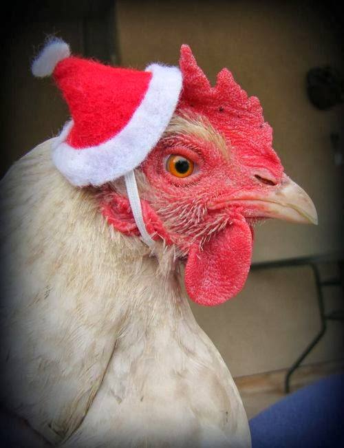 Chickenman1111111111111111111