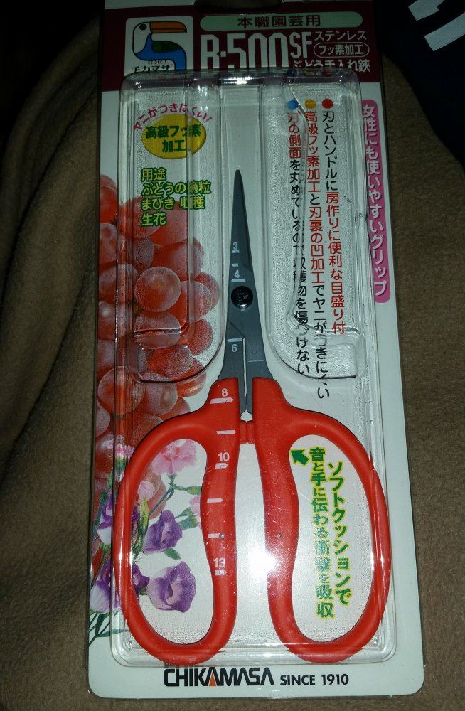 Chikamasa