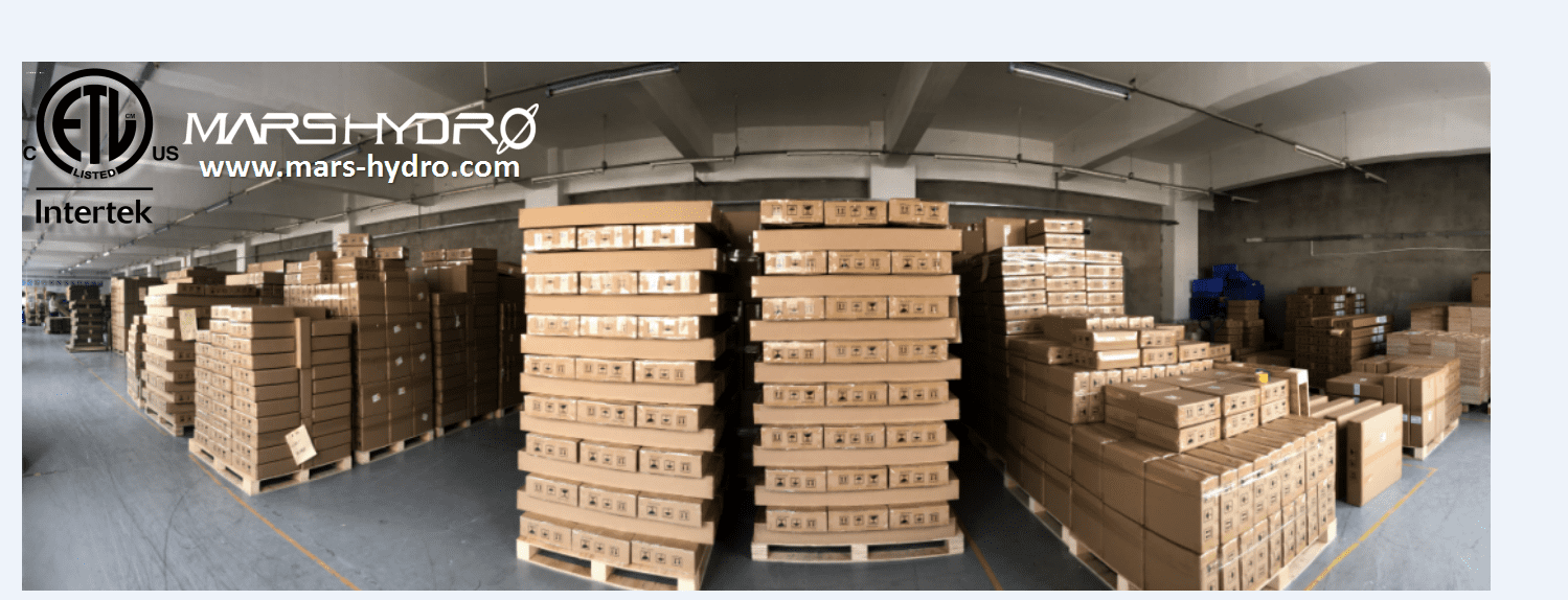 China warehouse
