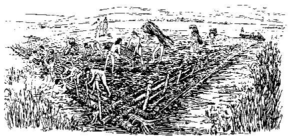 Chinampas