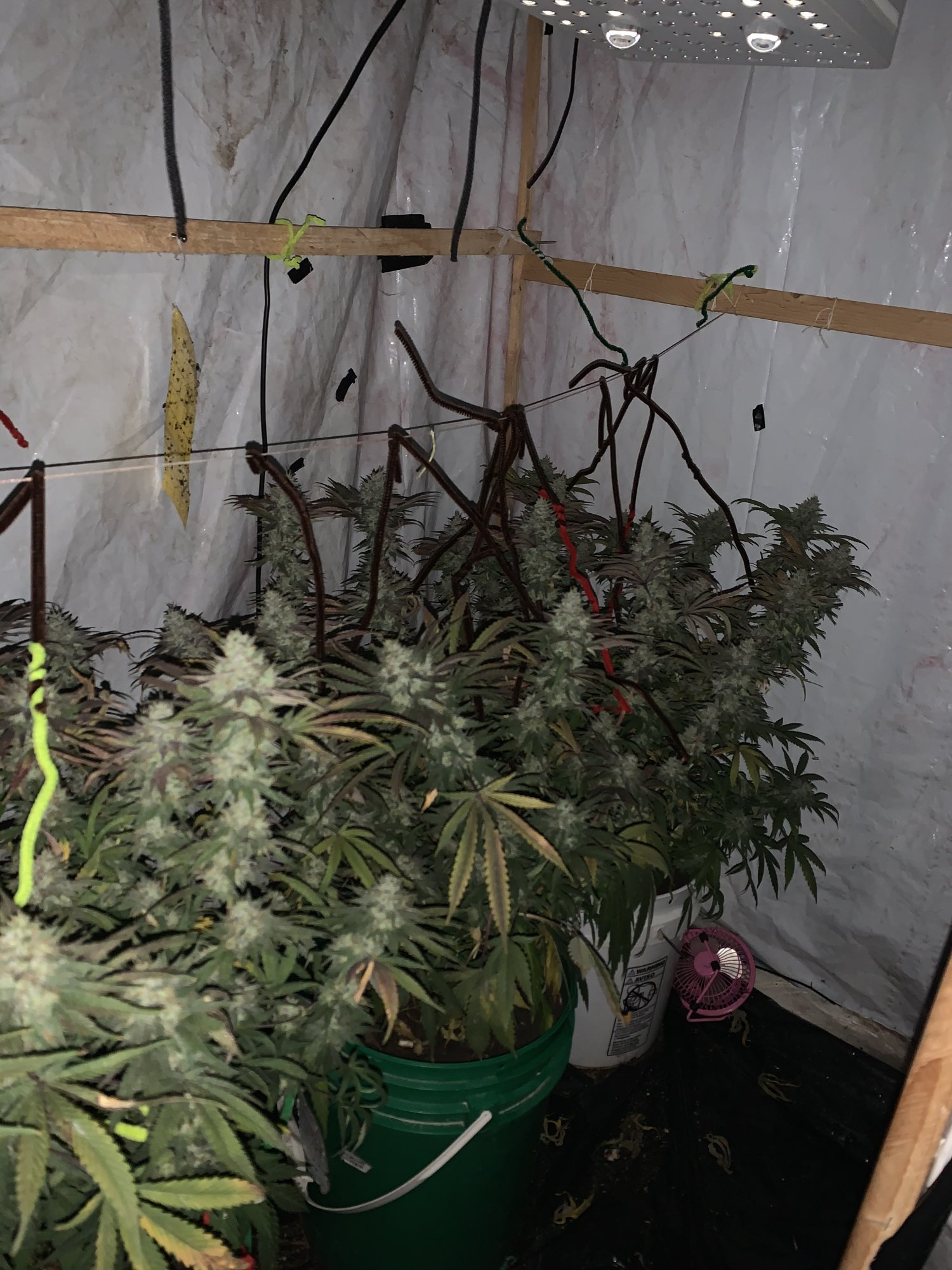 Chinese led lights not bad at all 3