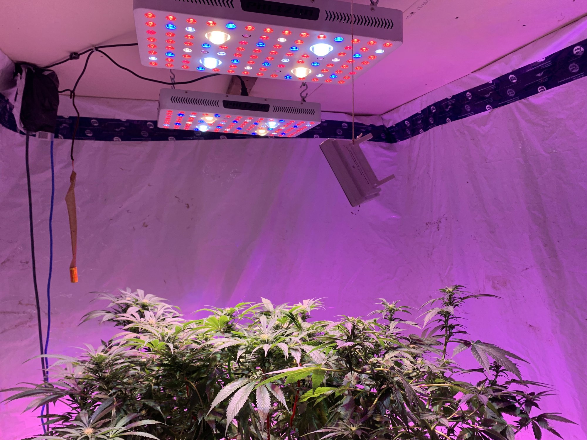 Chinese led lights not bad at all 4
